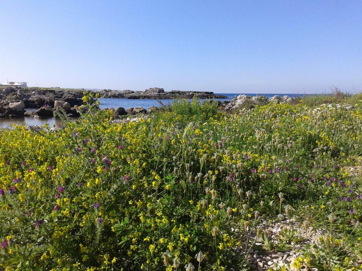 Nardò La Porta Di Mare B&B מראה חיצוני תמונה